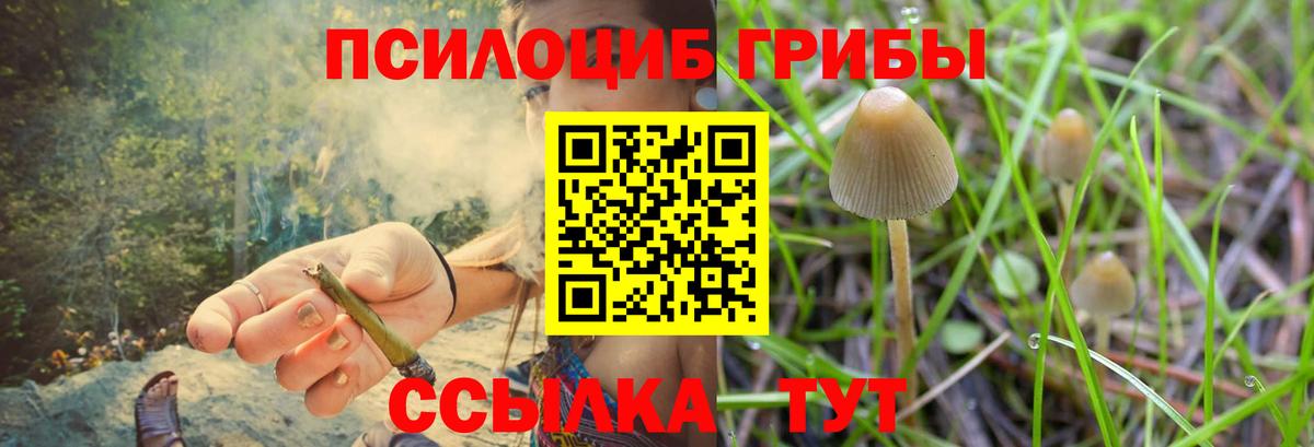 Карачаевск  Псилоцибиновые грибы GOLDEN TEACHER  Вход с VPN 